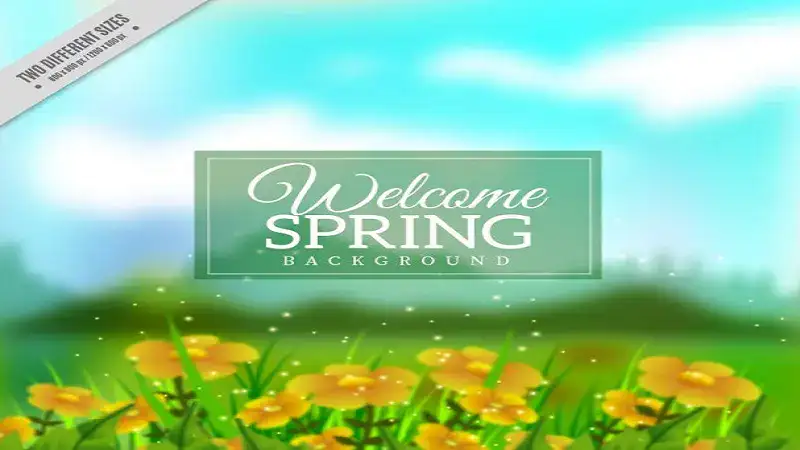 Spring HillMedGroup Com